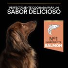 Pro Plan Adult Small e Mini Salmão Peles Sensíveis ração para cães, , large image number null